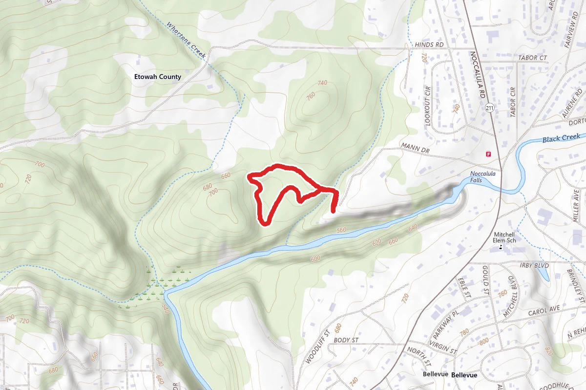 Family Loop Trail