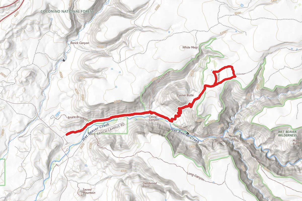 Apache Maid Trail