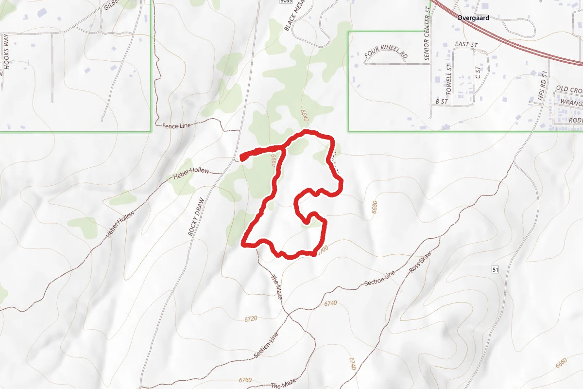 Pine 5 Trail Loop