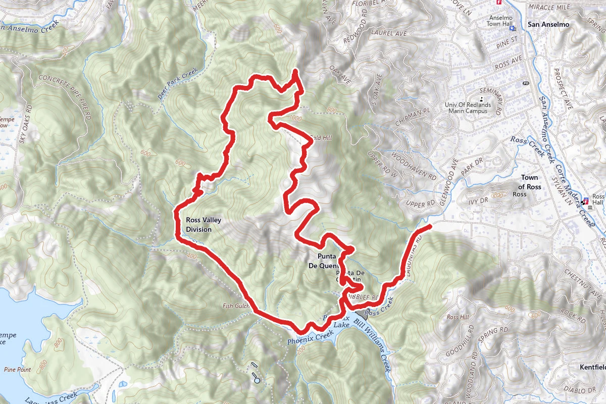 Phoenix Lake, Bald Hill, Yolanda Trail and Shaver Grade Road Loop