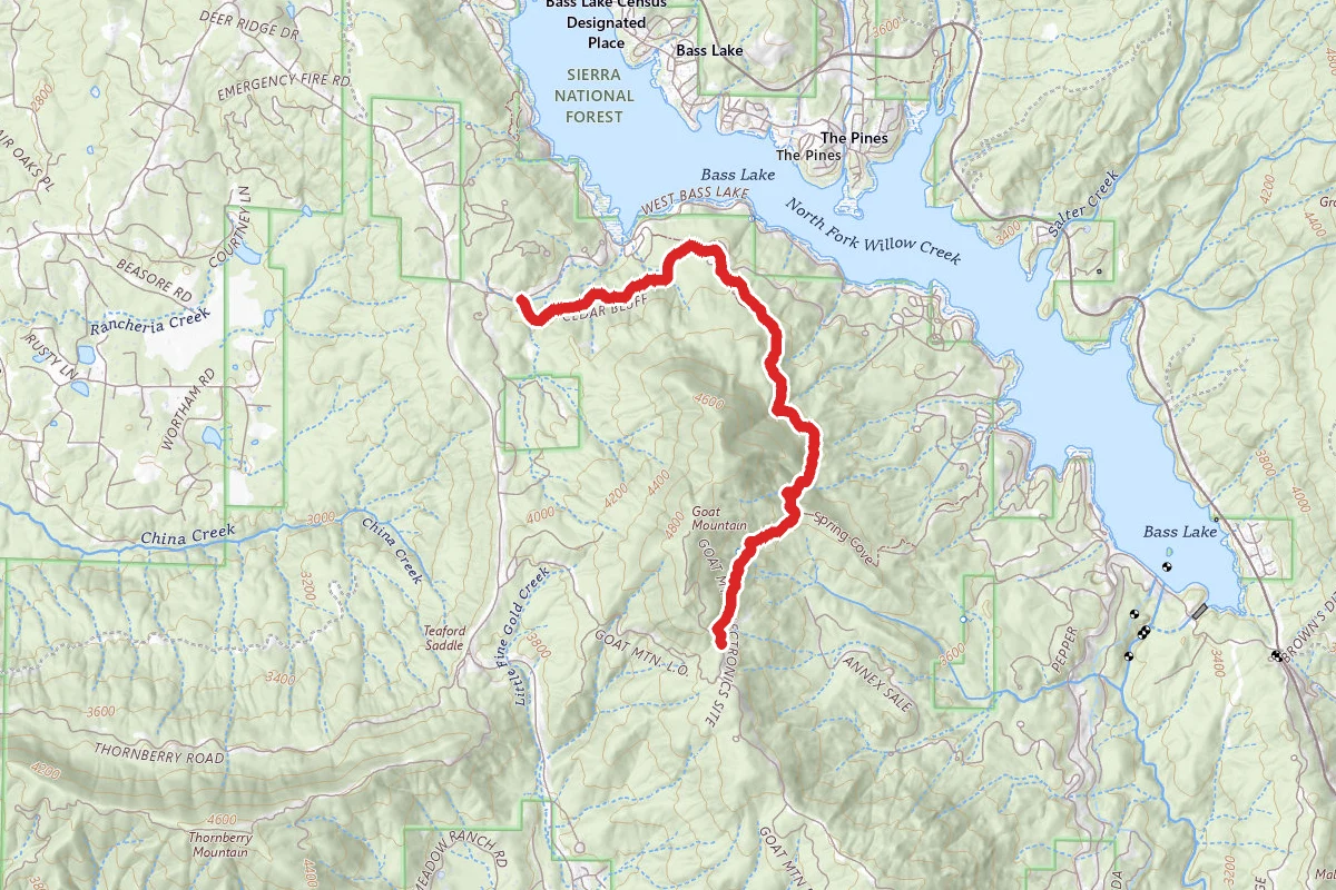 Goat Mountain Trail (Short Option)