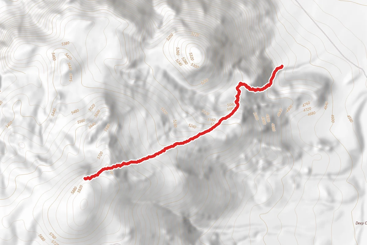 Tungsten Peak Trail