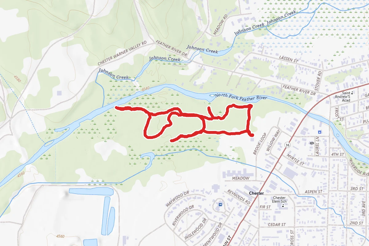 Collins Pine Nature Trail