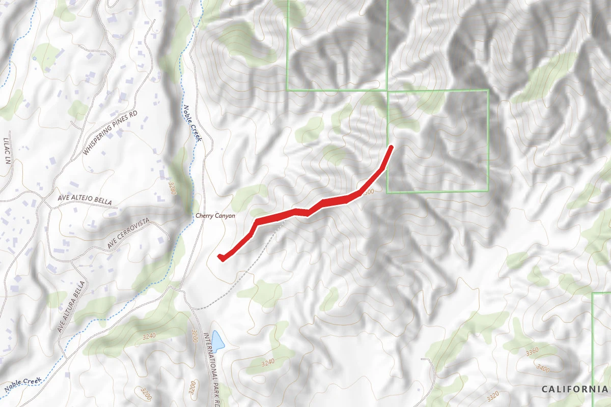 Bogart Park Ridge Trail