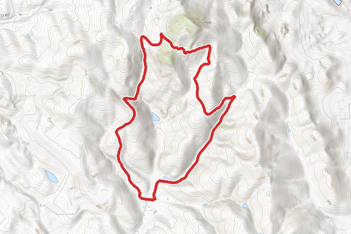 West Side Loop Trail to Brushy Peak Loop Trail