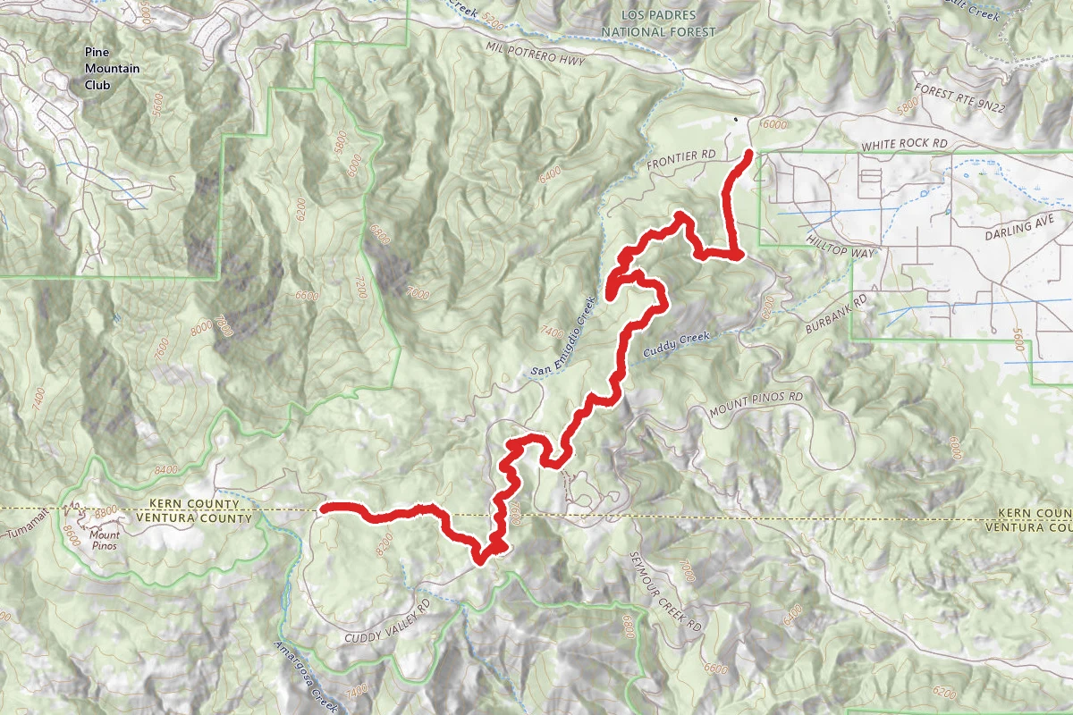 Mount Pinos MTB Trail (Downhill)