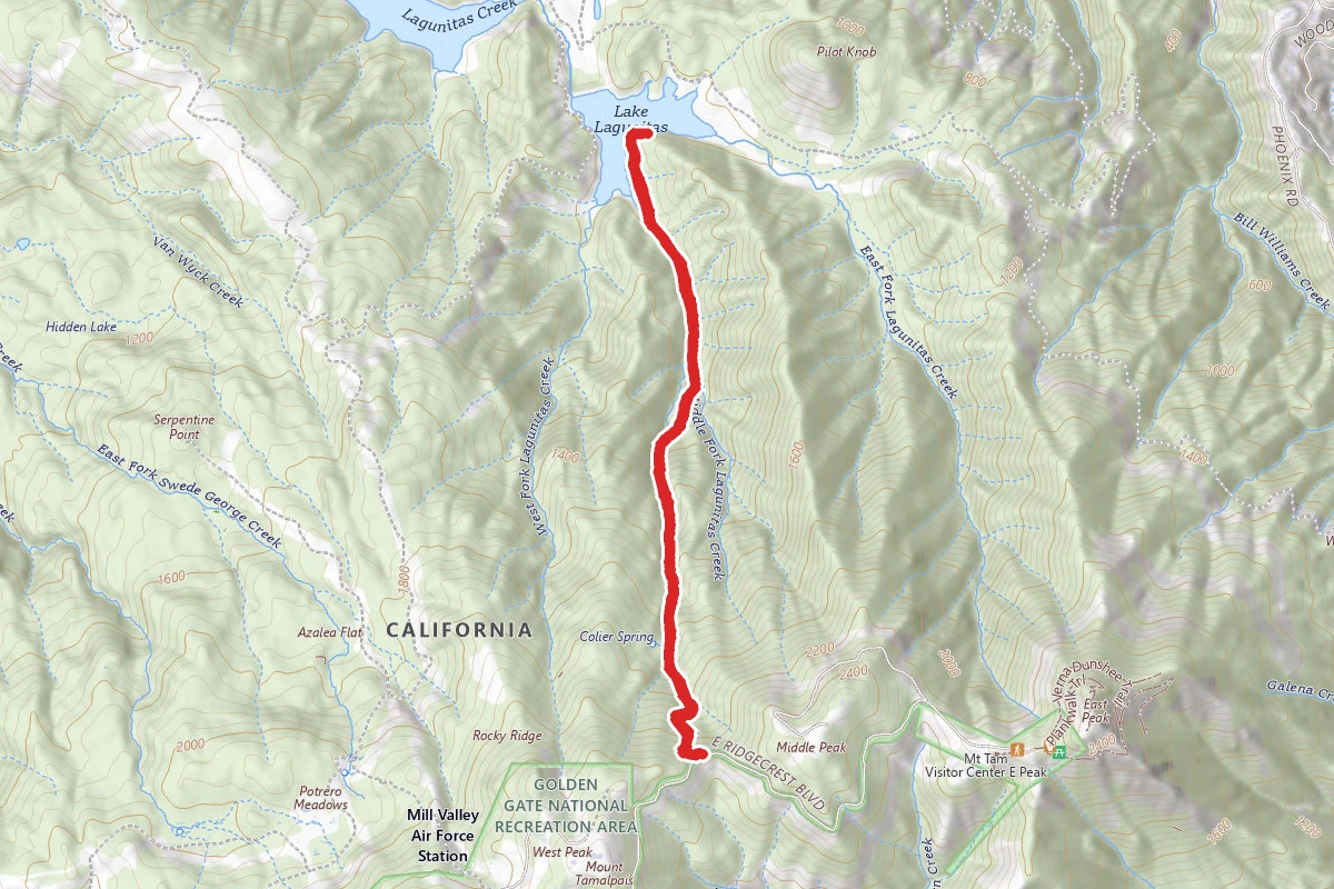 Colier Spring Trail to Lagunitas Lake