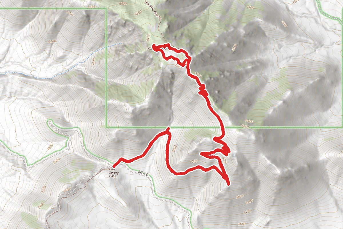 Bird Spring Pass to Skinner Peak