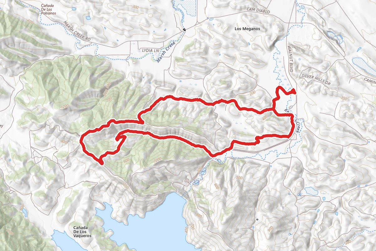 Kit Fox to Mariposa