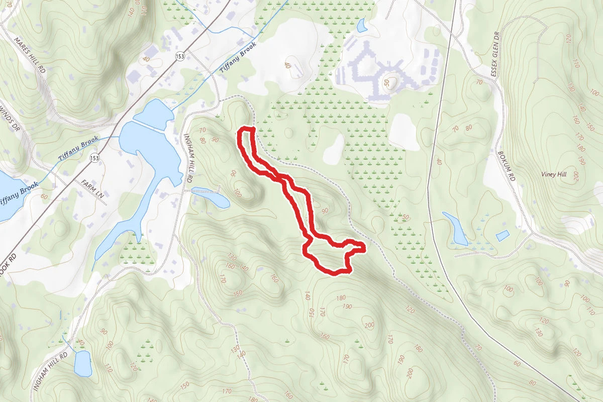 Caleb's Trail Loop
