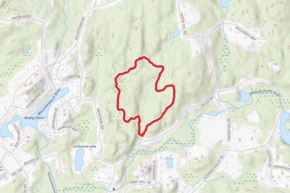 Brook, Laurel Ridge and Princess Pine Trail Loop