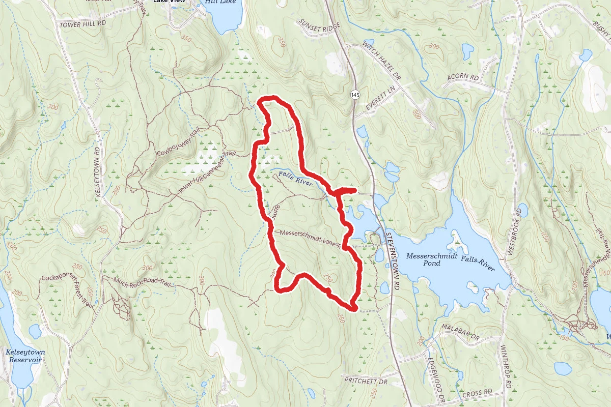 Cockaponset State Forest Loop
