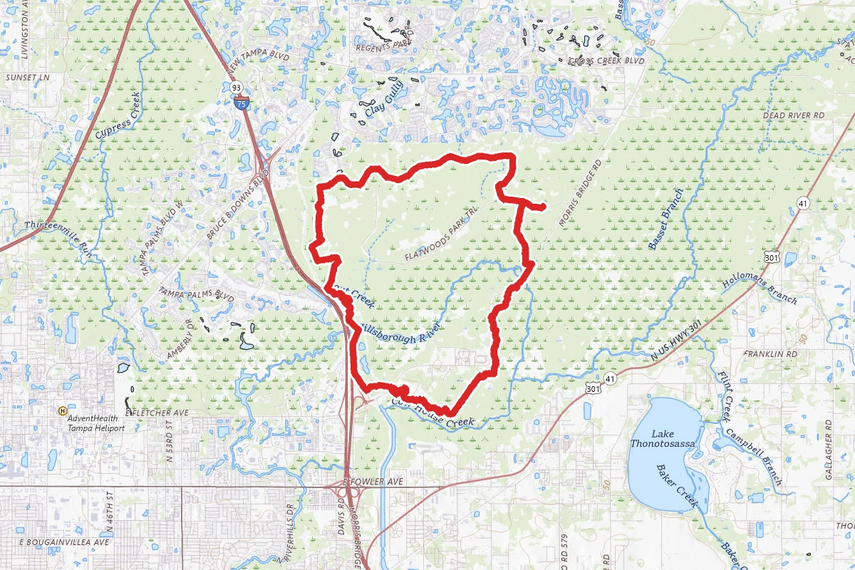 Flatwoods Park Trail to Morris Bridge Trail Loop