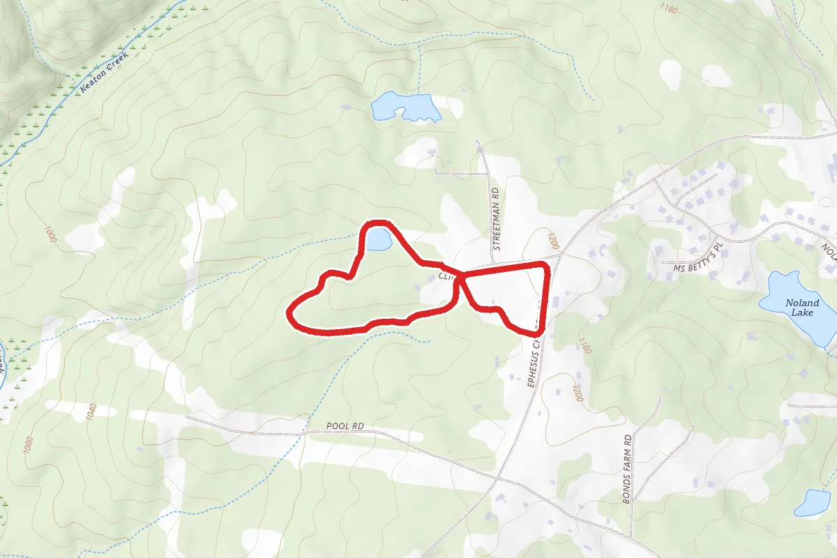 Walking Track and Yellow Trail Loop