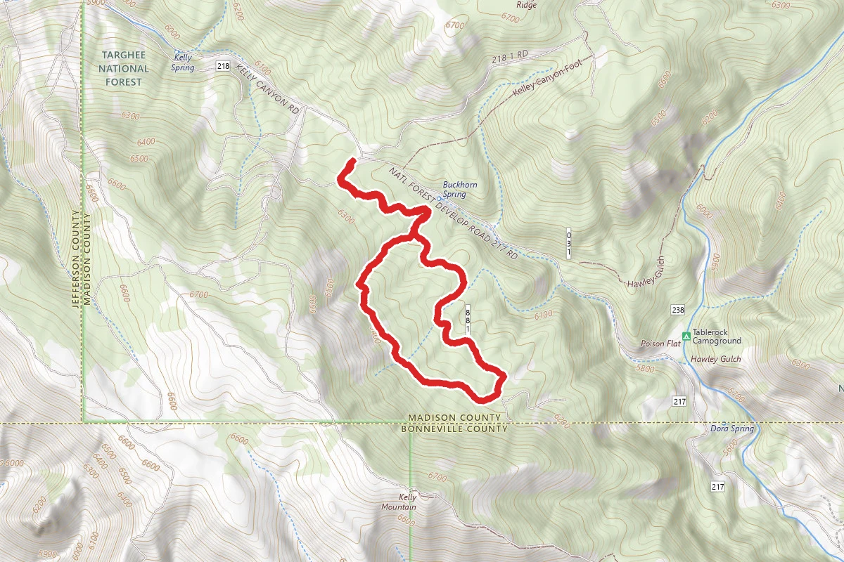 Kelly Canyon Mountain Logging Road