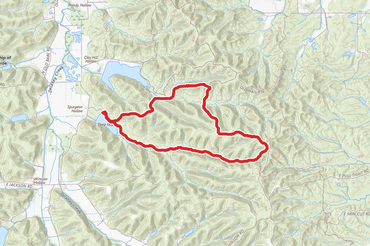 Knobstone Trail Loop from Spurgeon Hollow Trailhead