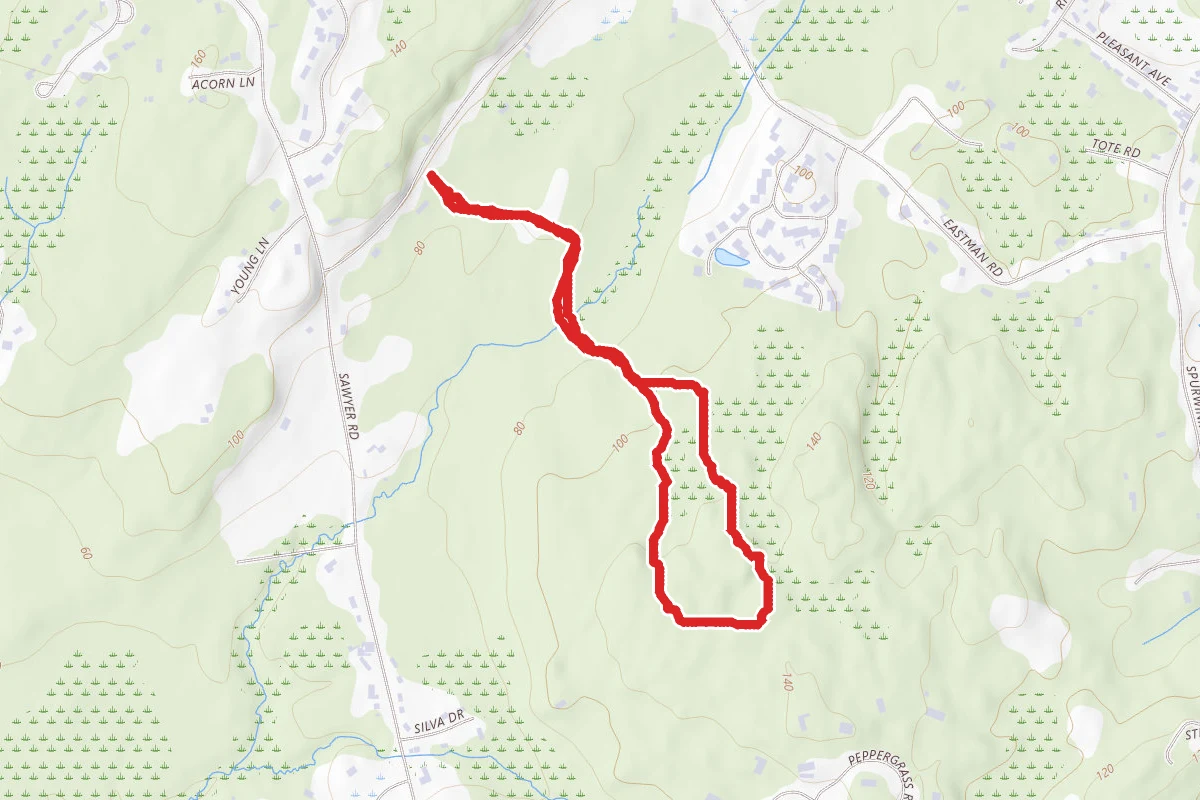 Winnick Woods Loop