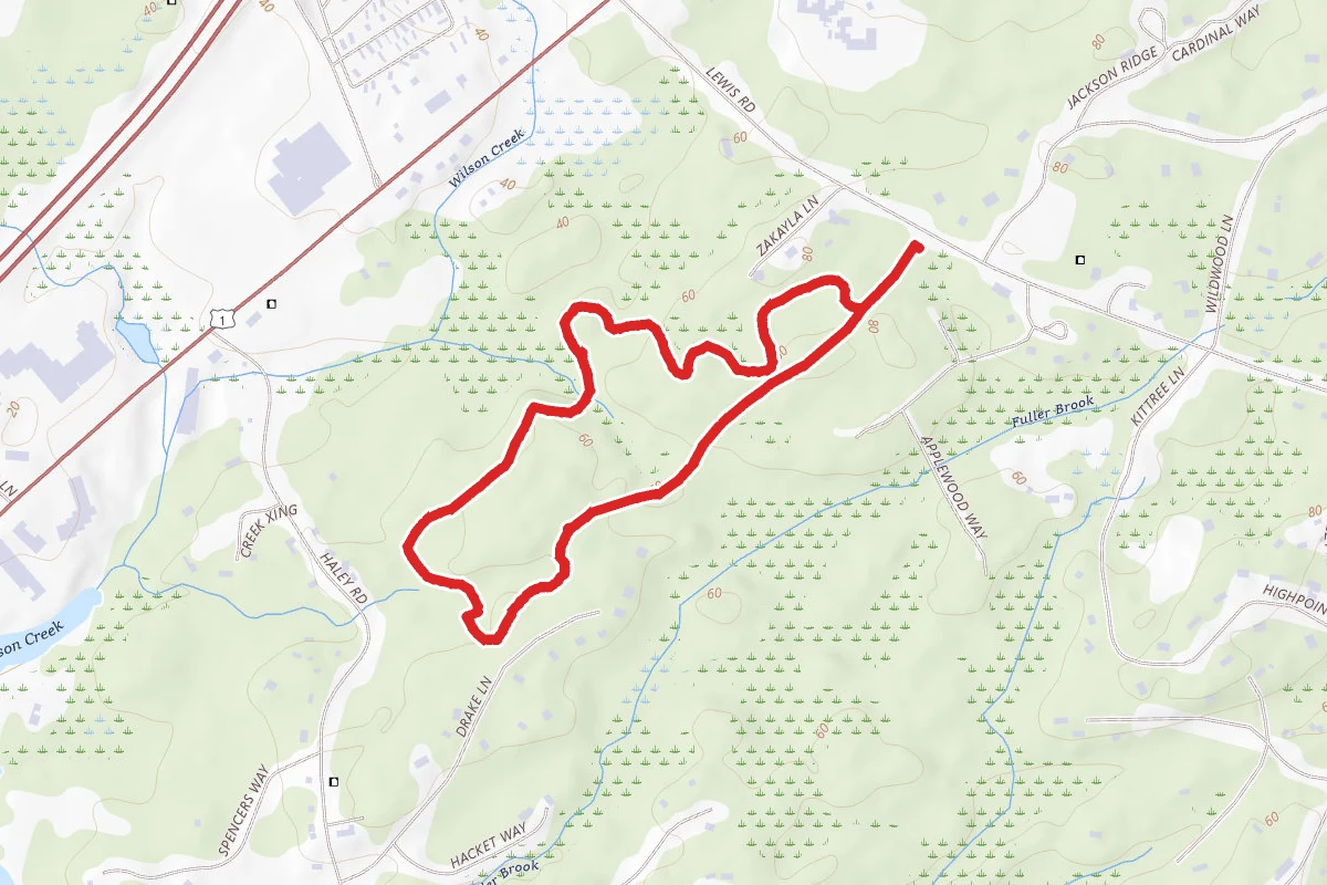 Kittery Town Forest Yellow, Red, Blue Loop