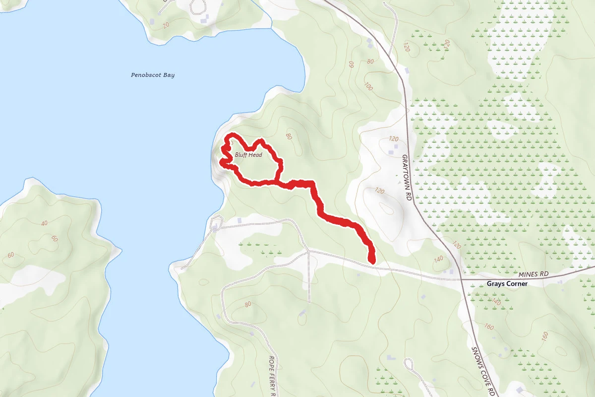 Bluff Head Preserve Loop