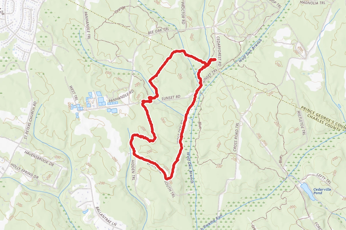 Cedarville White Trail
