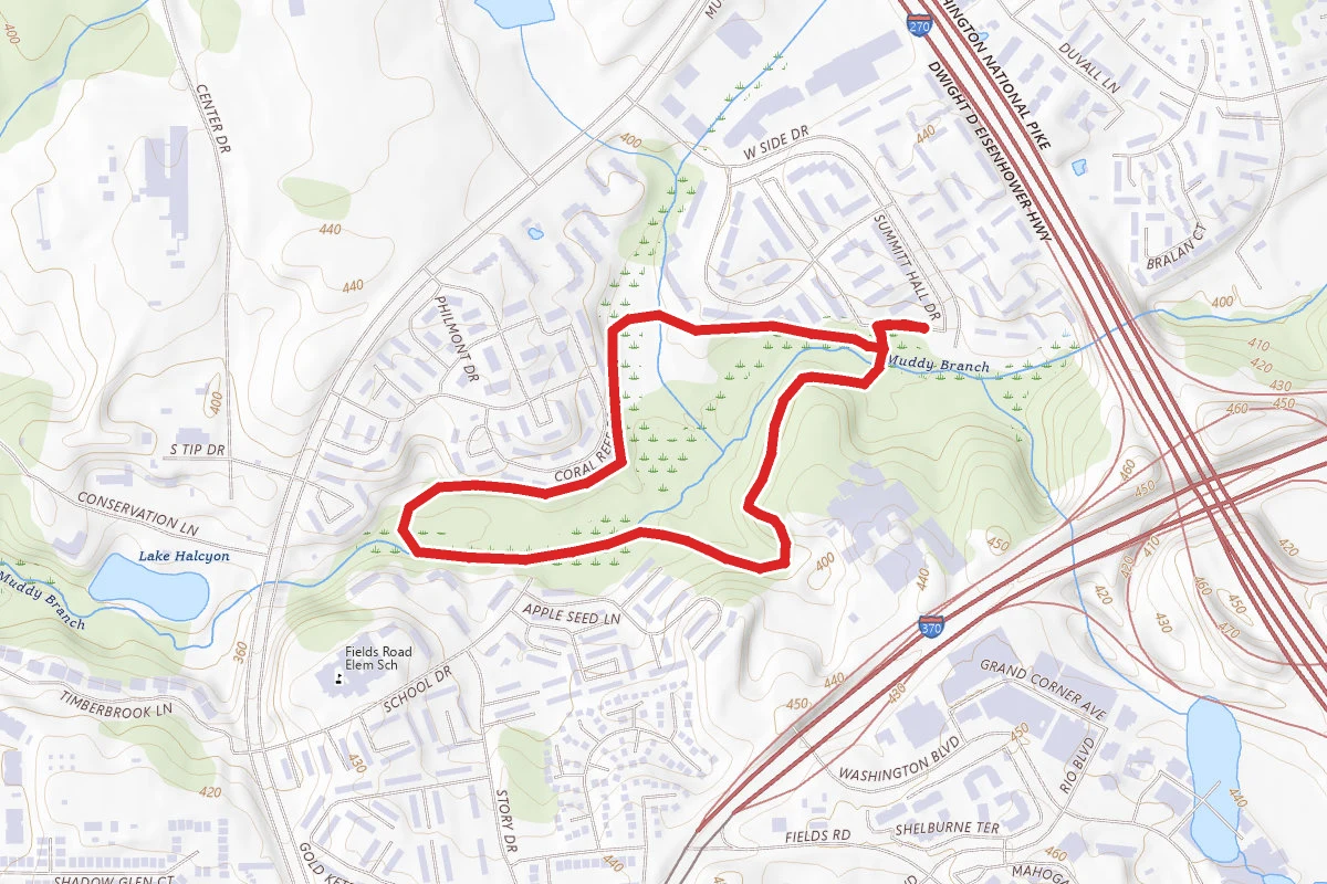Malcolm King Park Loop