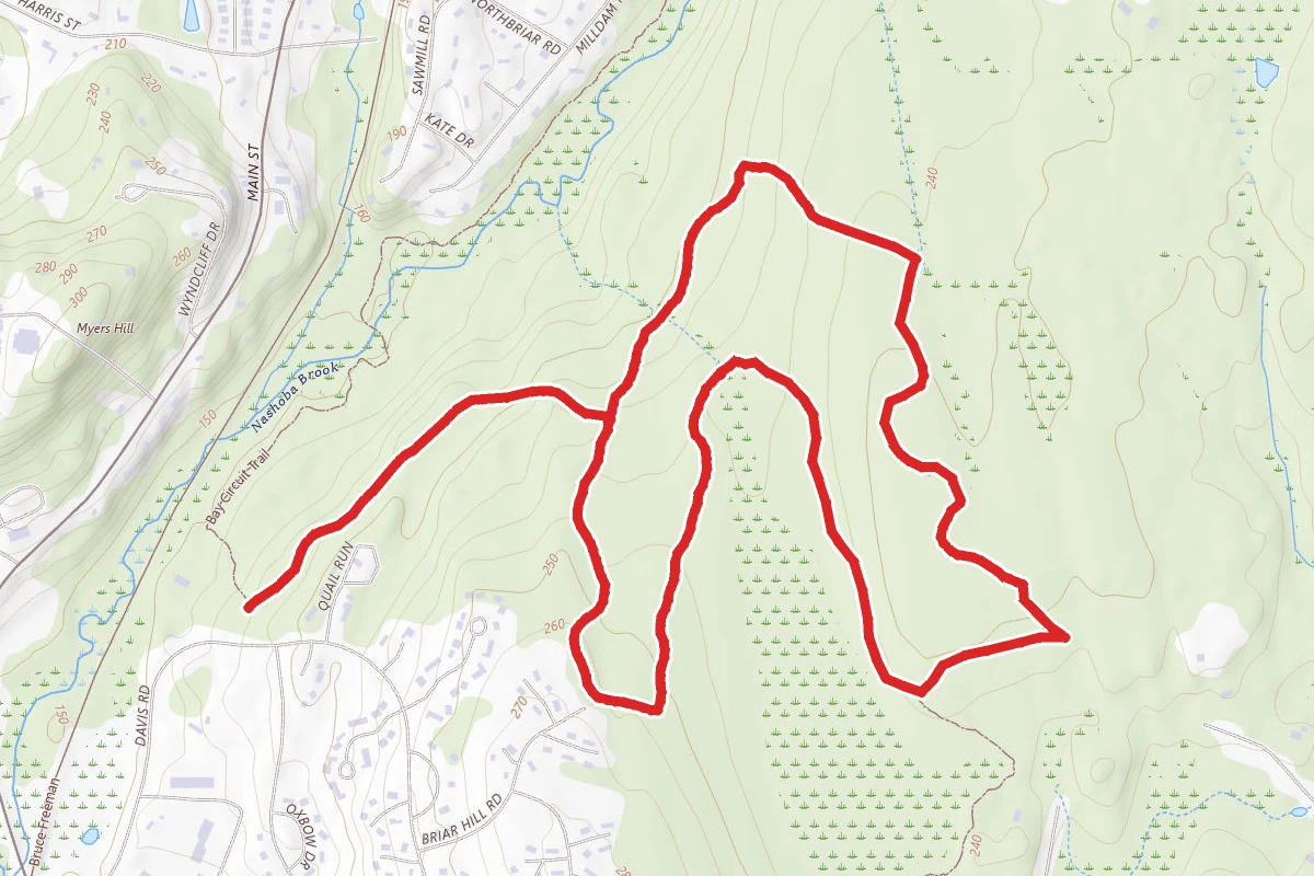 Nashoba Brook and Spring Hill Yellow Loop