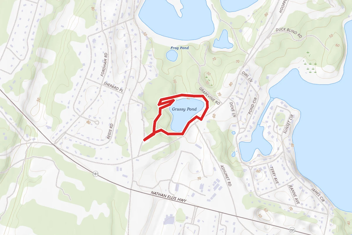 Grassy Pond Trail