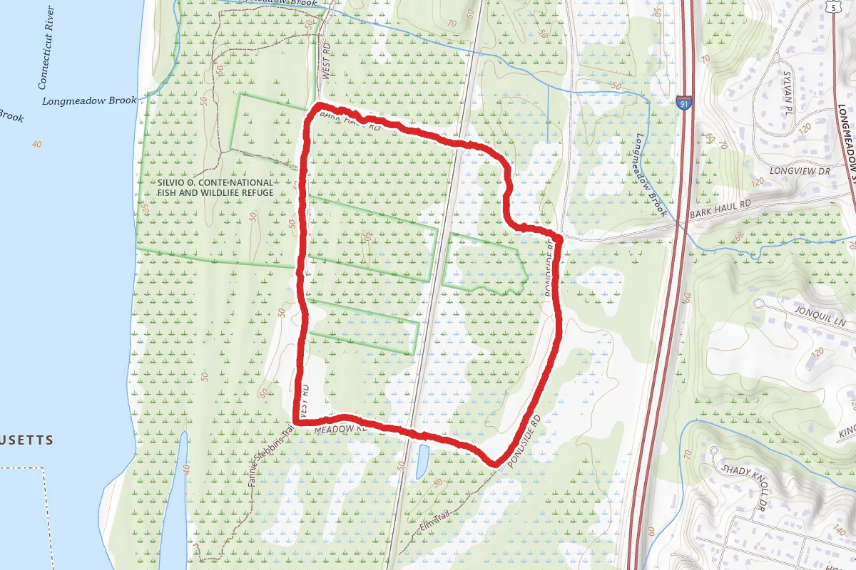 Fannie Stebbins Loop