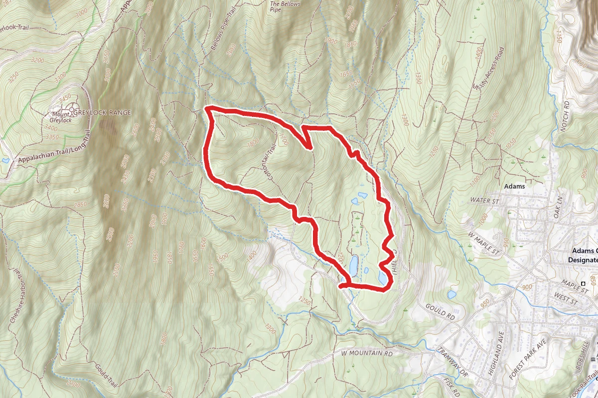 Bellows Pipe and Thunderbolt Ski Trail Loop