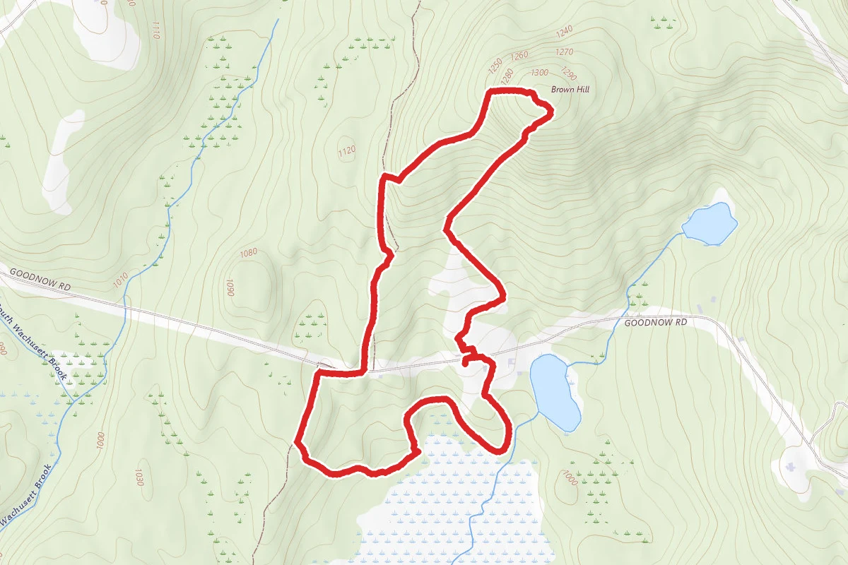 Chapman, Beaver Bend, and South Meadow Trail Loop