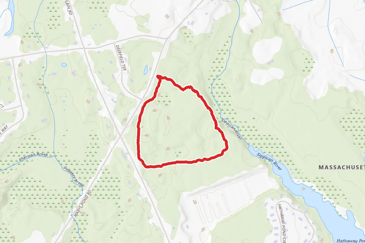 Delano Memorial Forest Loop