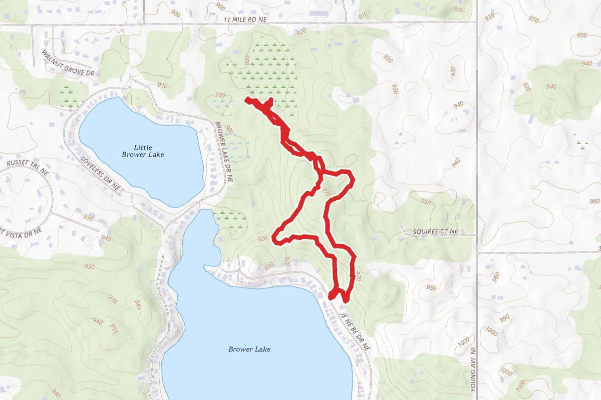 Brower Lake Nature Preserve