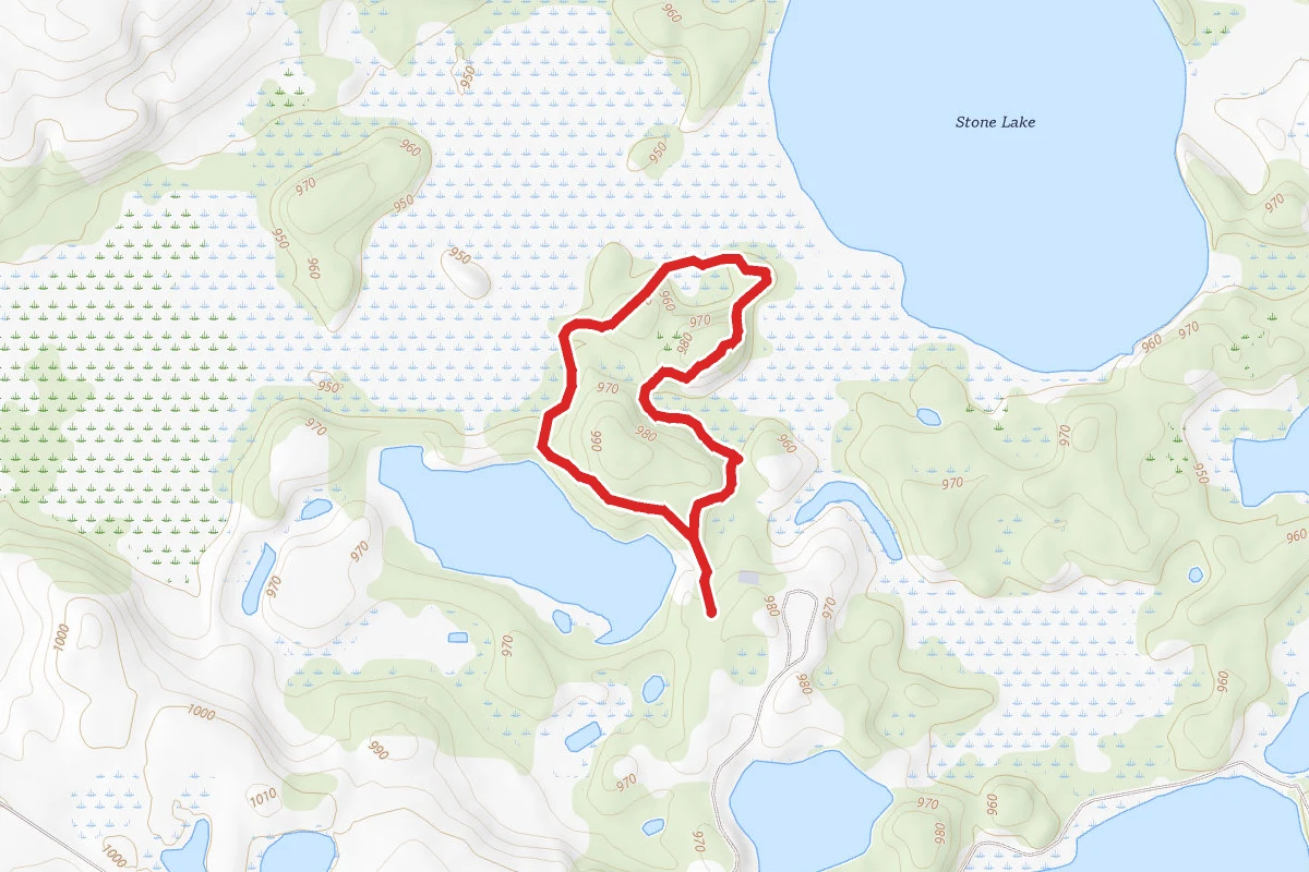 Tamarack to Aspen Trail