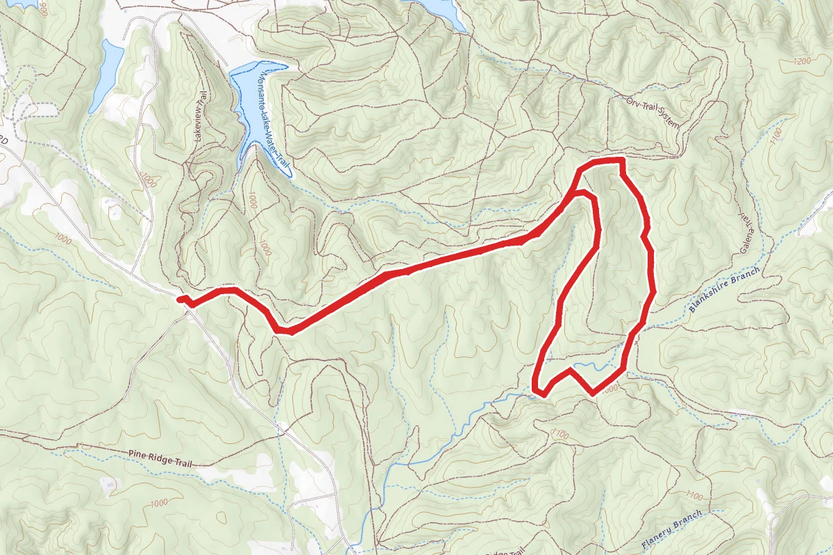 Saint Joe Mountain Bike Loop