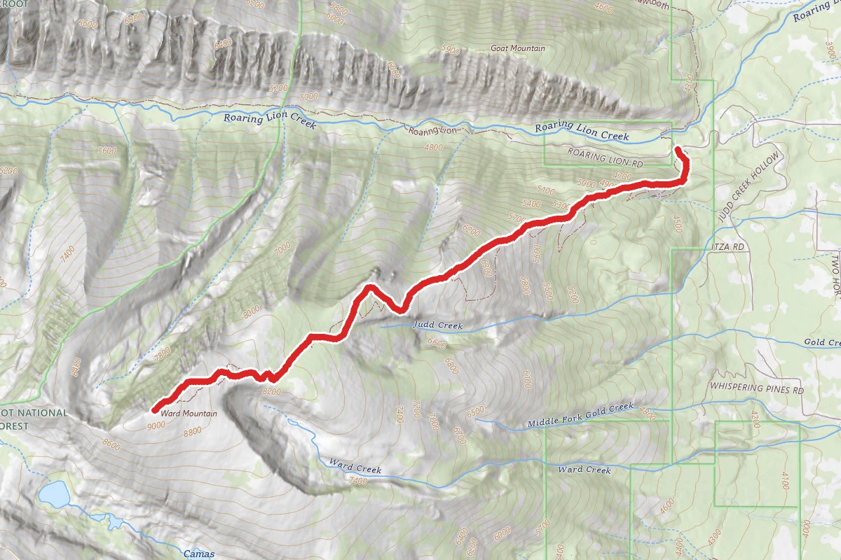 Ward Mountain Trail
