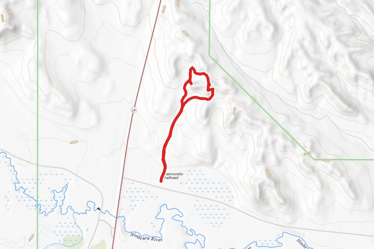 Daemonelix Trail