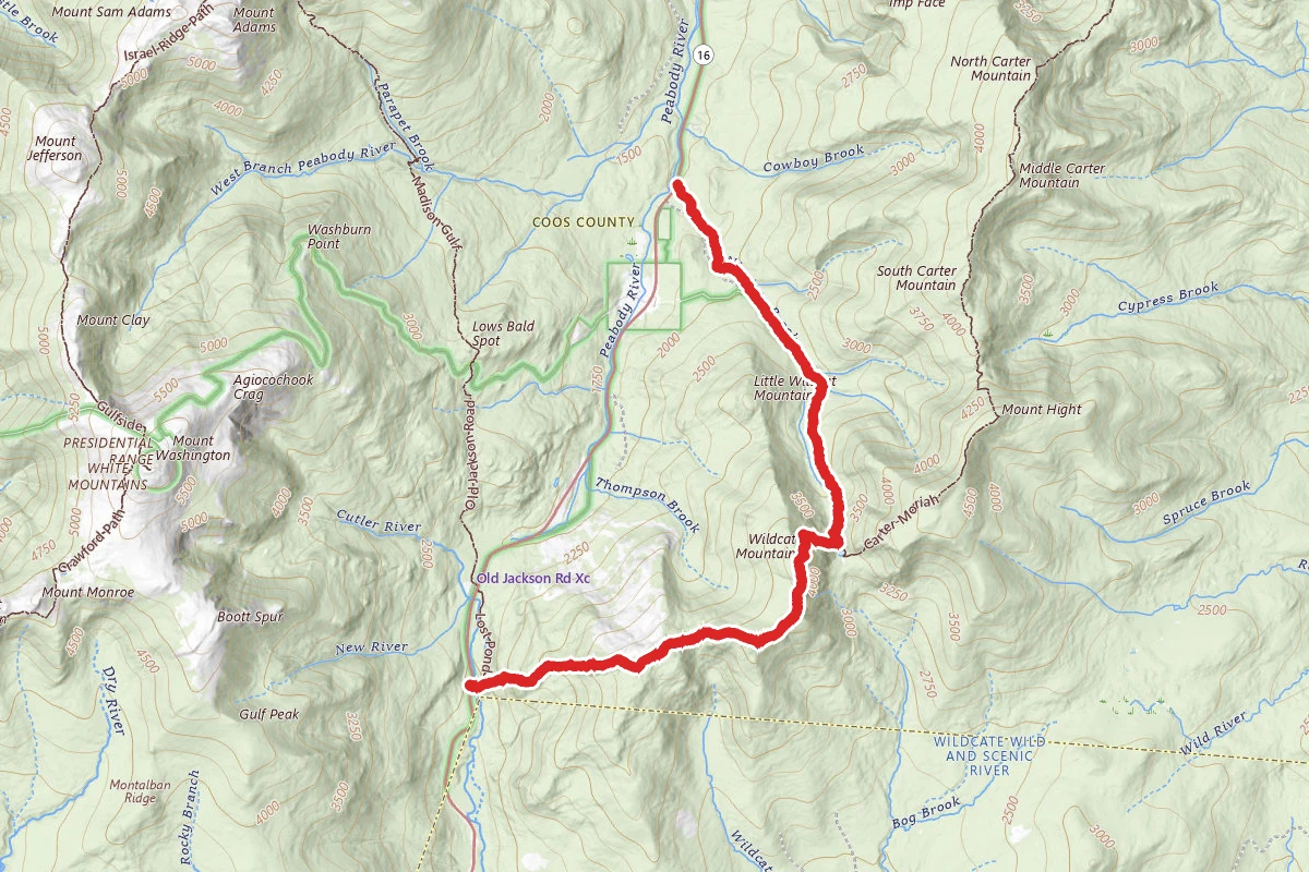 Wildcat Ridge Trail to Nineteen Mile Brook Trail