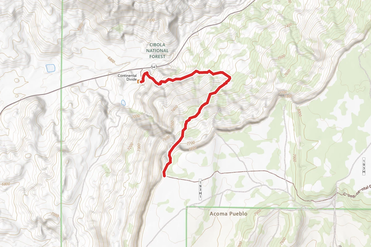 Continental Divide Trail from NM 547