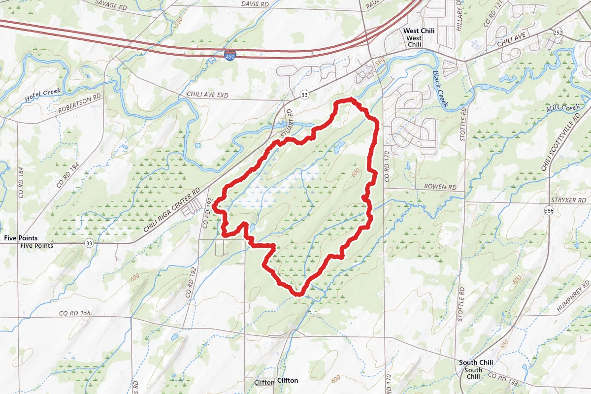 Creek Trail to Wetland Trail Loop