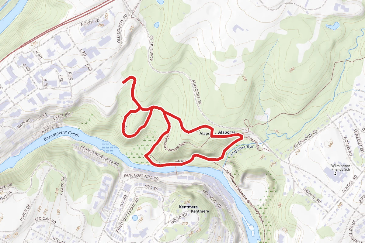 Alapocas Woods Trail