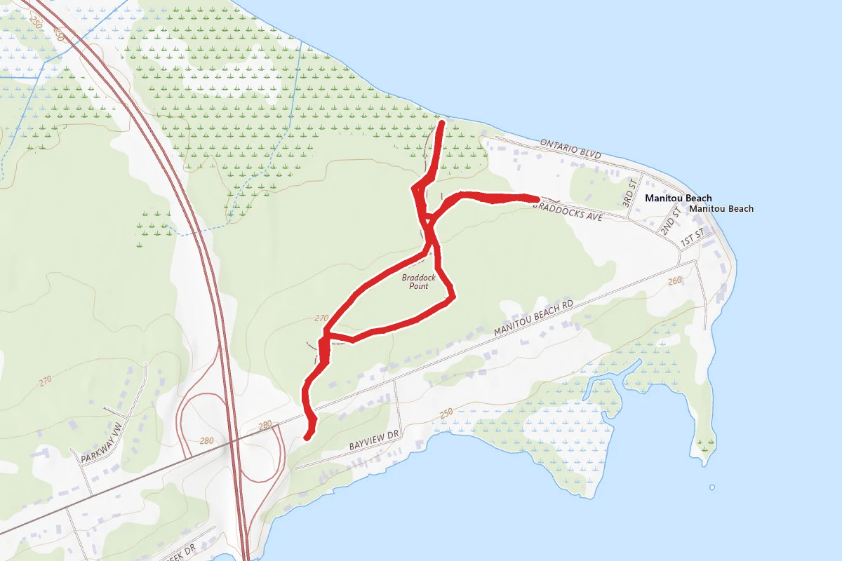 Braddock Bay Raptor Research Trail