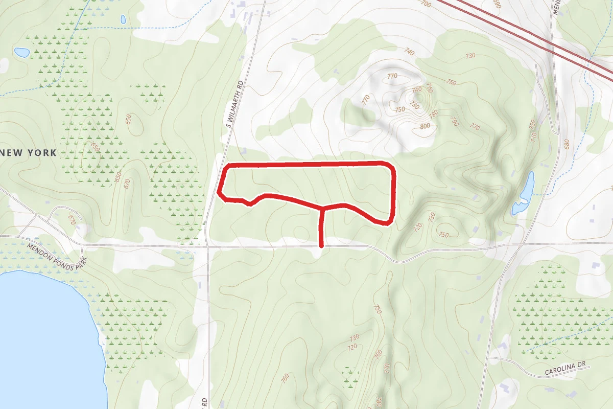 Pine Woods Loop