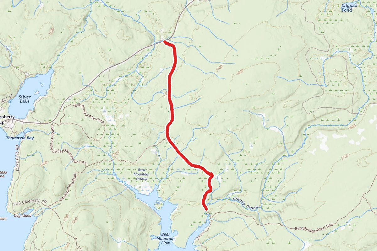 Brandy Brook Trail