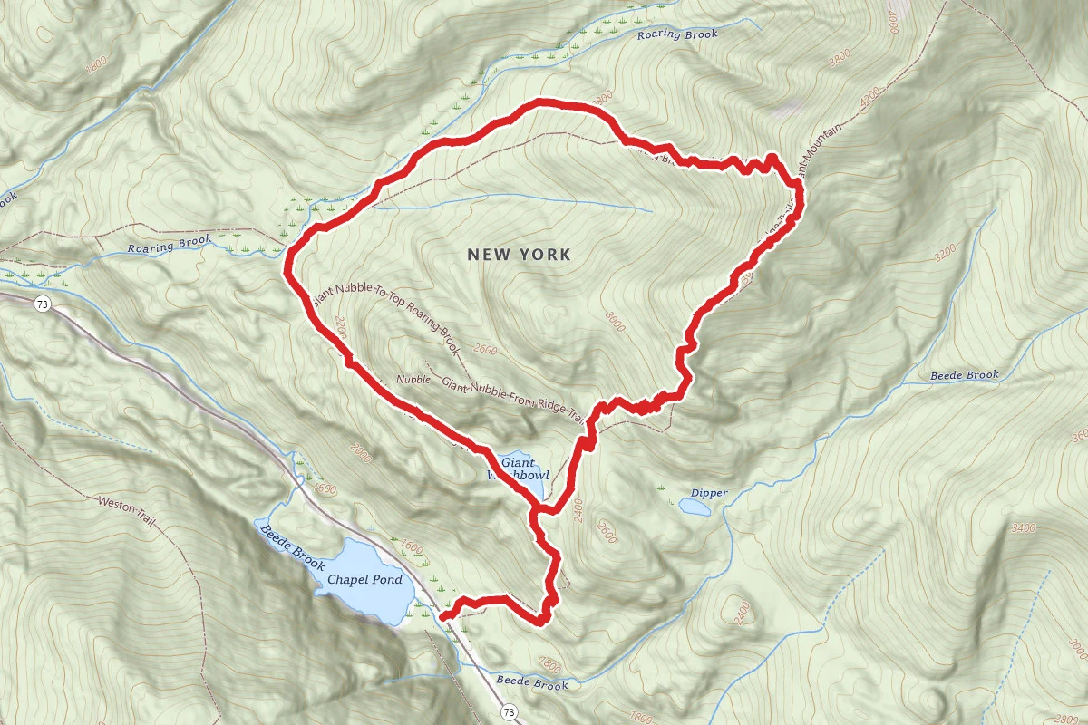 Roaring Brook and Washbowl Loop