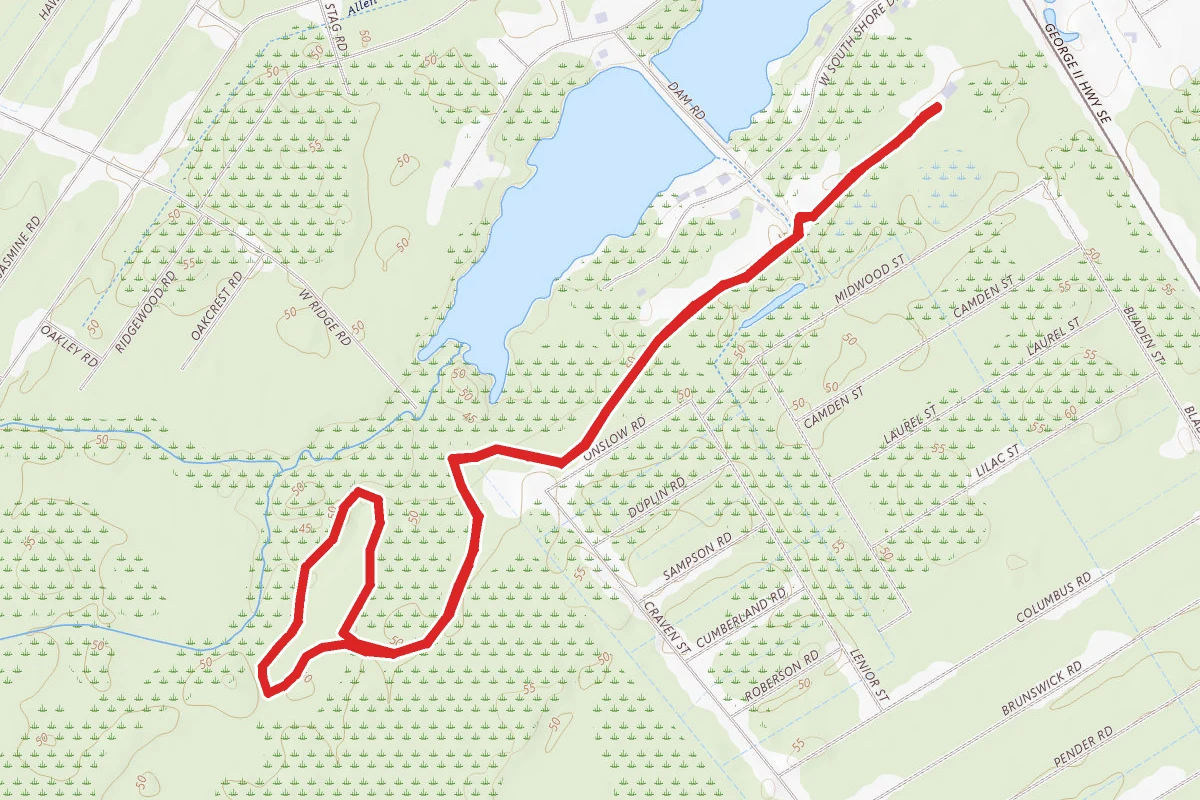 Boiling Springs Lake Preserve Loop