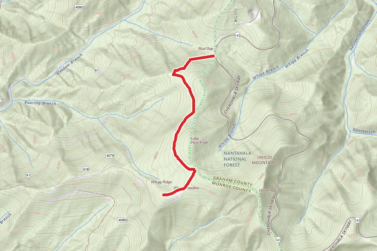 Whigg Meadow via Mud Gap Trail