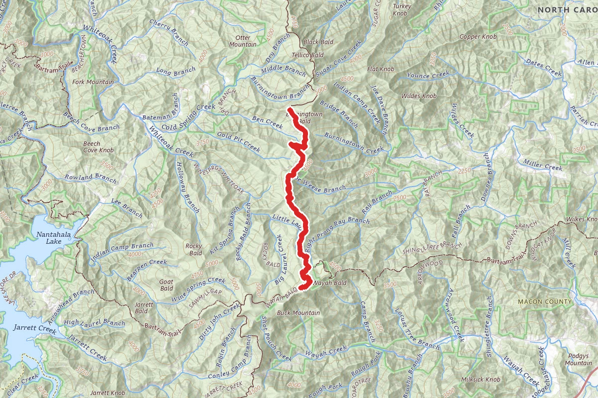 Wayah Bald Recreation Area via Appalachian Trail