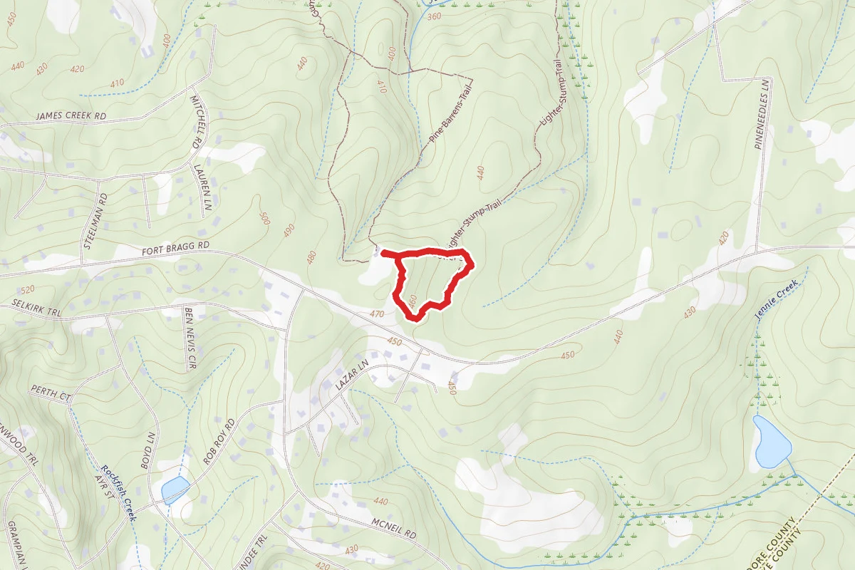 Bowers Bog