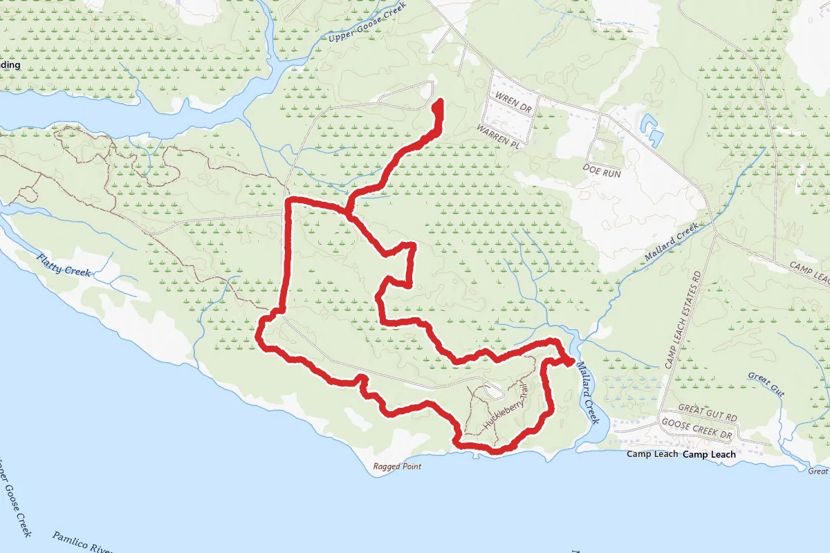 Mallard Creek, Live Oak, Goose Creek Loop