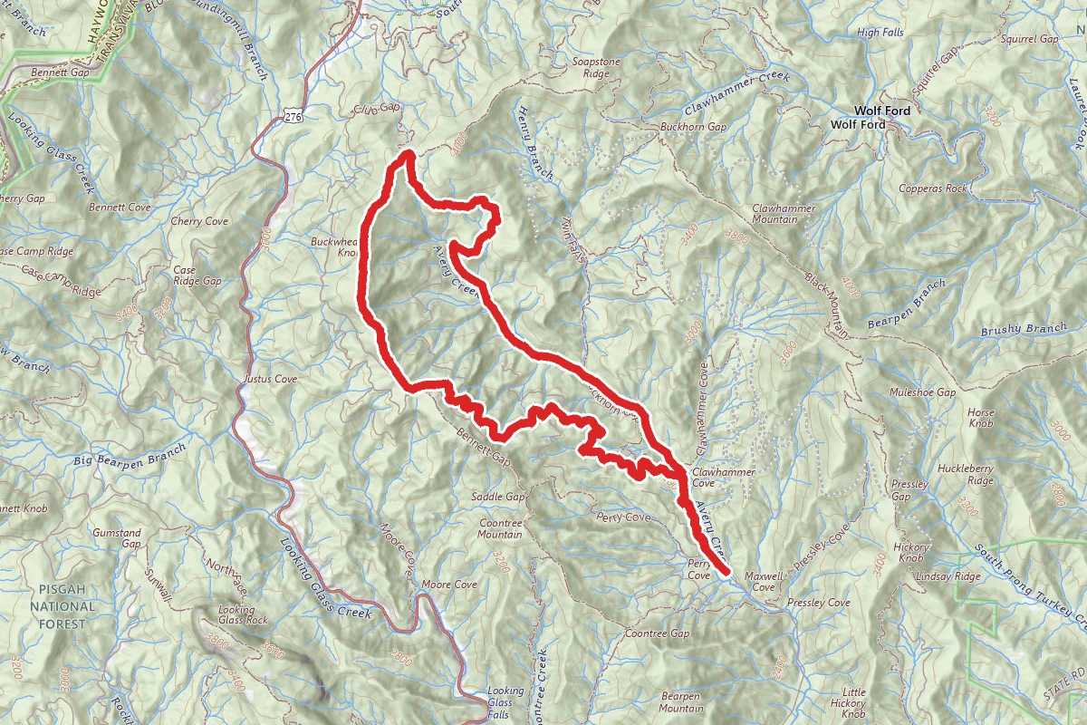 Avery Creek Trail and Buckwheat Knob Trail